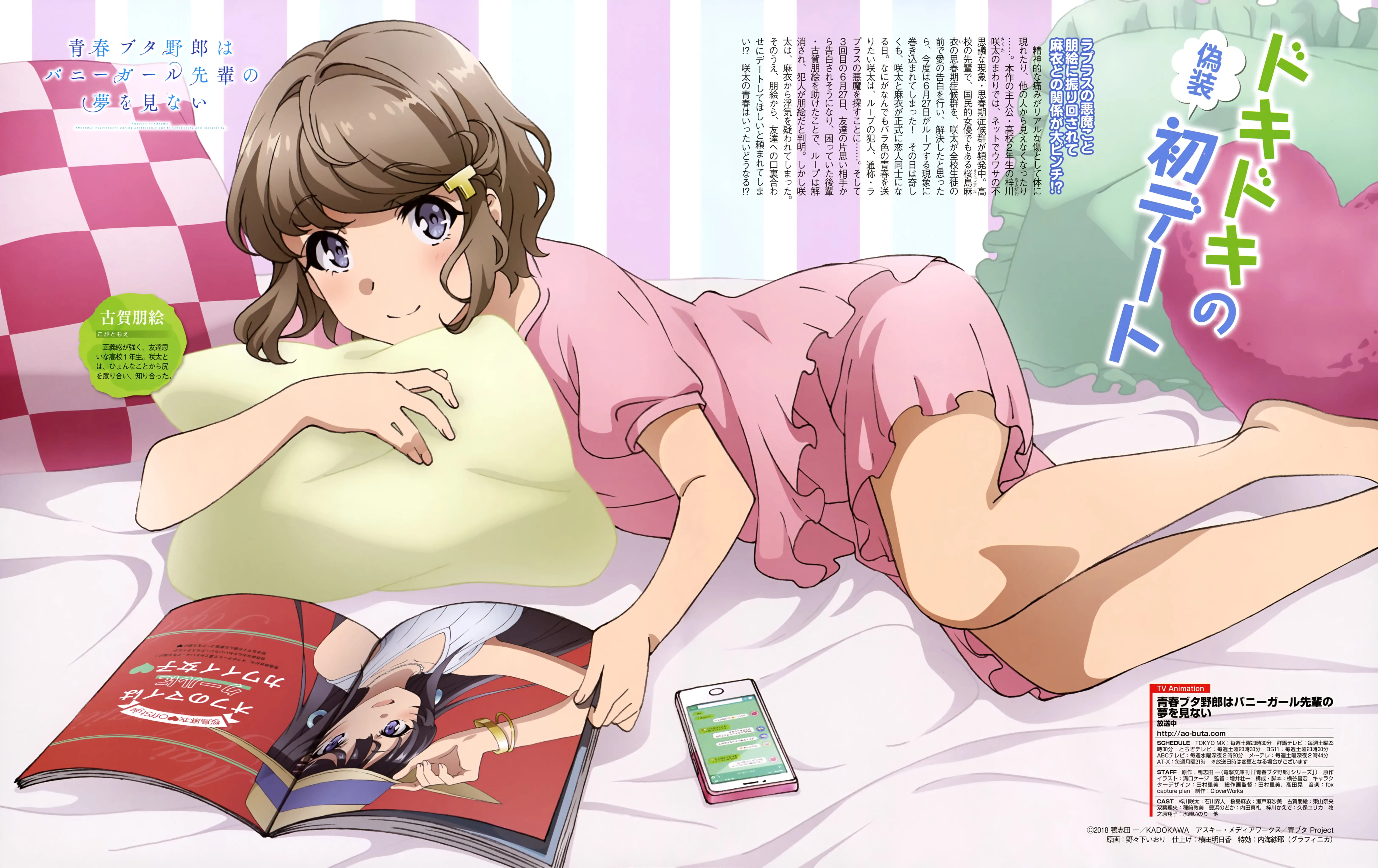 Seishun Buta Yarou wa Bunny Girl Senpai no Yume wo Minai Picture Drama backdrop