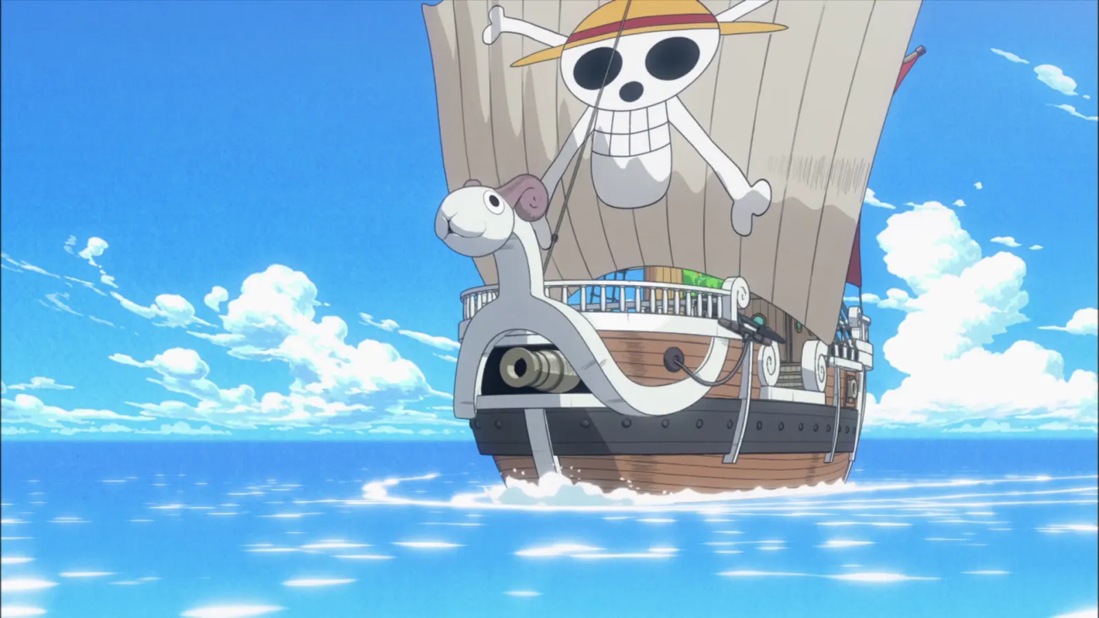 THE ONE PIECE backdrop